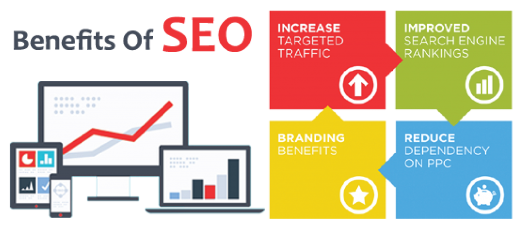 N-ERP | SEO Consultant 3