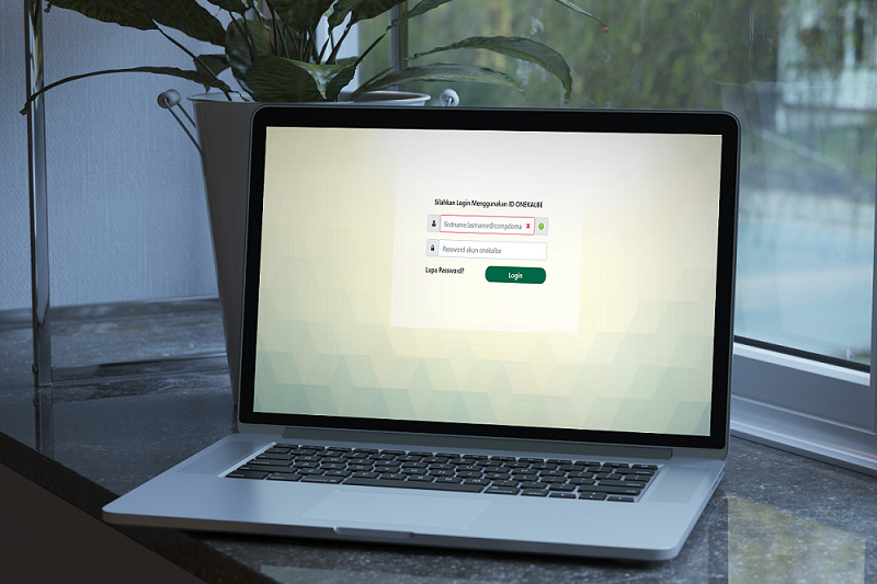 N-ERP | SSO Login Page 1