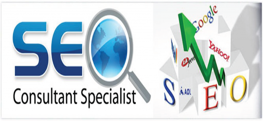 N-ERP | SEO Consultant 2